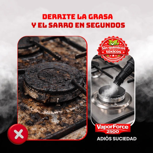 Limpiadora a Vapor Portátil VaporForce 2500