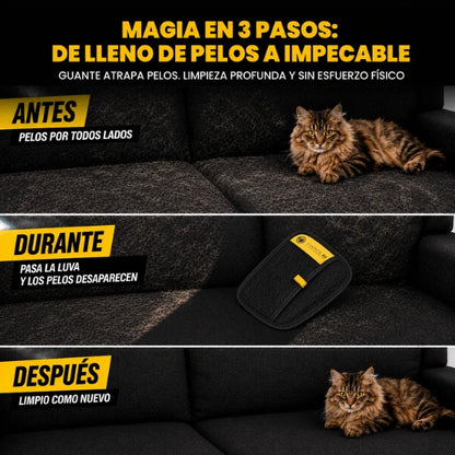 Pack Control - Tapete Protector Para Auto + Guante Tira Pelos