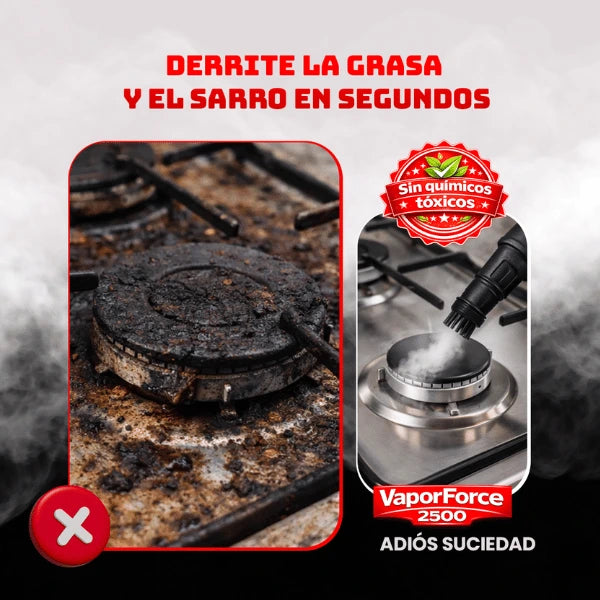 Limpiadora a Vapor Portátil VaporForce 2500